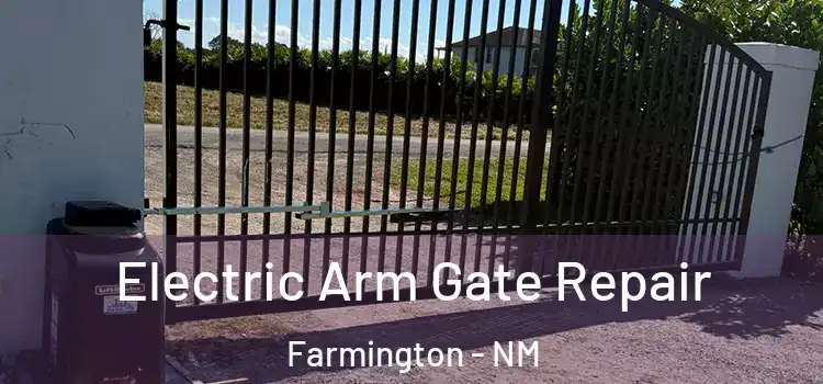 Electric Arm Gate Repair Farmington - NM