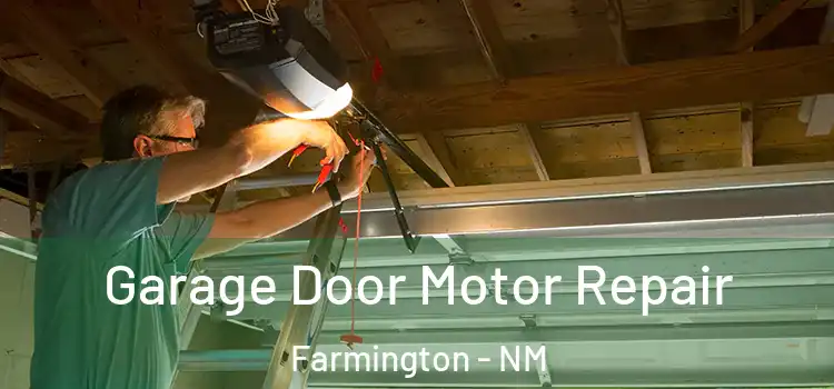  Garage Door Motor Repair Farmington - NM