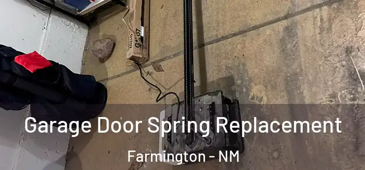  Garage Door Spring Replacement Farmington - NM