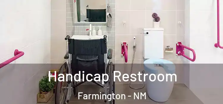Handicap Restroom Farmington - NM