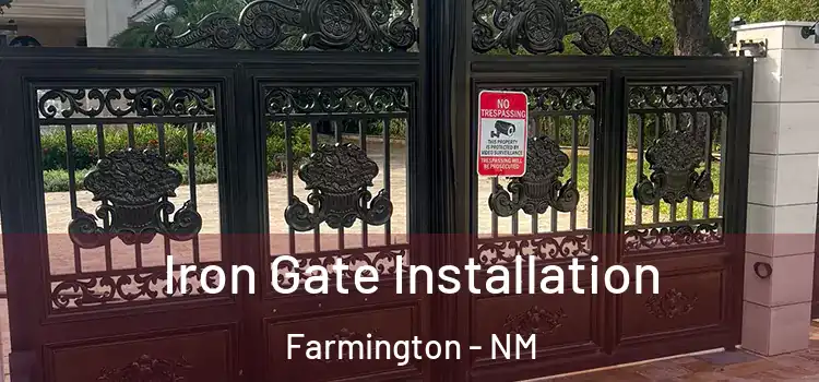 Iron Gate Installation Farmington - NM