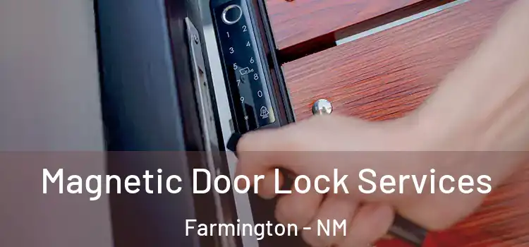Magnetic Door Lock Services Farmington - NM