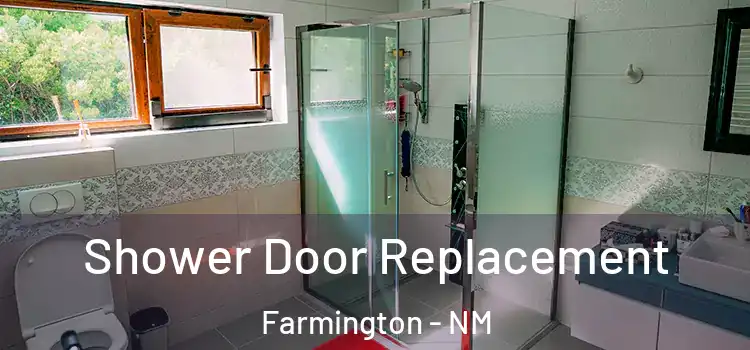 Shower Door Replacement Farmington - NM