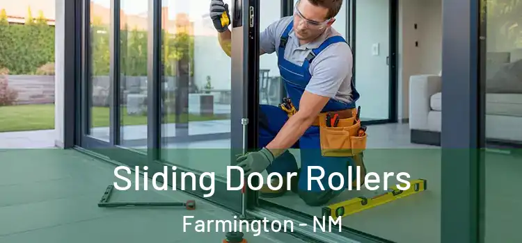 Sliding Door Rollers Farmington - NM