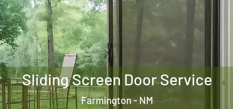 Sliding Screen Door Service Farmington - NM